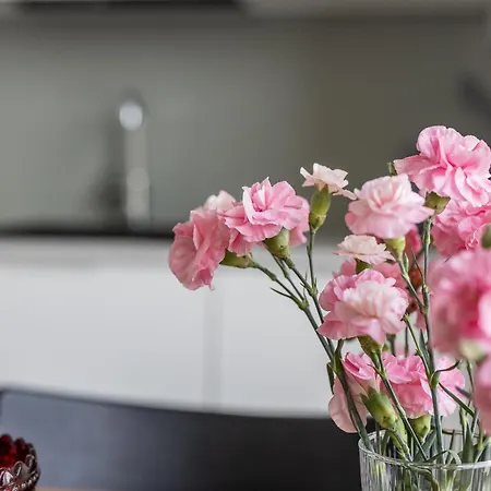 Апартаменты New 3 Bedroom Close To Arctic Circle Рованиеми